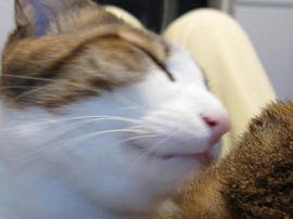 IMG00932.jpg
