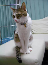 IMGP13024.jpg