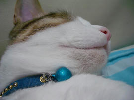 IMGP10160.jpg