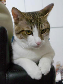 IMGP10169.jpg