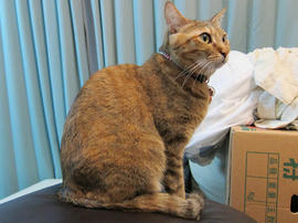 IMG00938.jpg