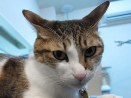 IMG00939.jpg