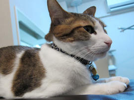 IMG00940.jpg