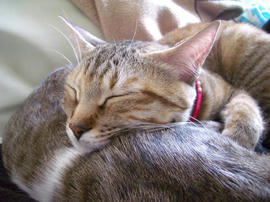 IMGP10179.jpg