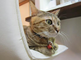 IMG00948.jpg
