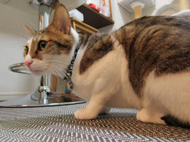 IMG00952.jpg