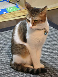 IMG00953.jpg