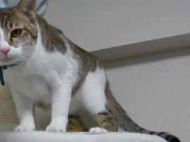 IMGP10213a.jpg