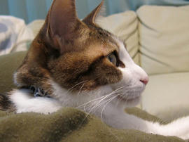 IMG00955.jpg