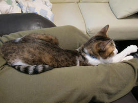IMG00956.jpg