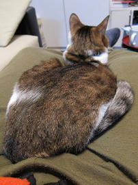 IMG00957.jpg