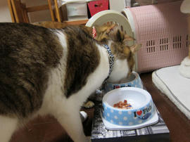 IMG00964.jpg