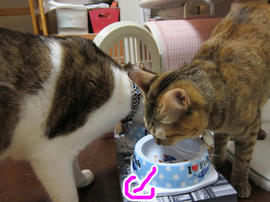 IMG00967.jpg