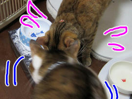 IMG00968.jpg