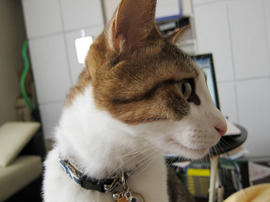 IMG00971.jpg