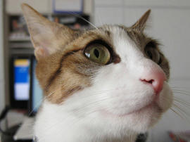 IMG00972.jpg