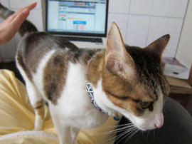IMG00973.jpg