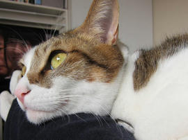 IMG00975.jpg