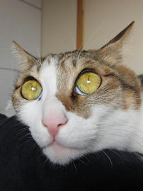 IMG00976.jpg