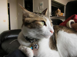 IMG00979.jpg