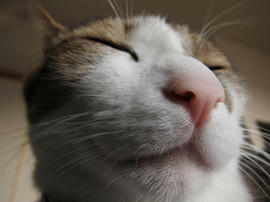 IMG00982.jpg