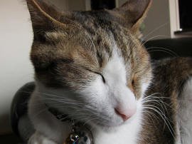IMG00983.jpg