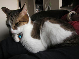 IMG00984.jpg