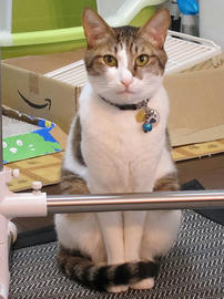 IMG00986.jpg