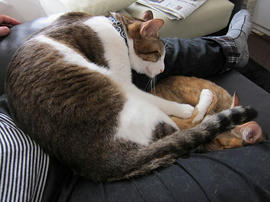 IMG00993.jpg