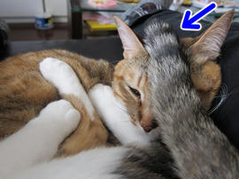 IMG00994.jpg