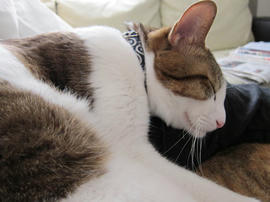 IMG00995.jpg