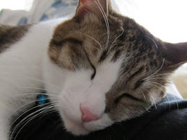 IMG00996.jpg
