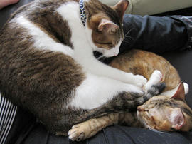 IMG00998.jpg