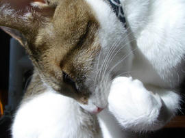 IMGP13120.jpg