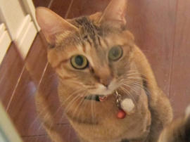 IMG01001.jpg