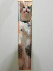 IMG01003.jpg