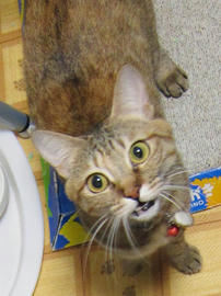 IMG01005.jpg