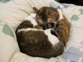 IMG01009.jpg