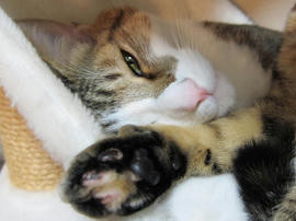 IMG01018.jpg