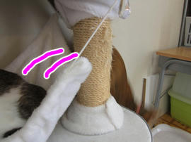 IMG01029.jpg