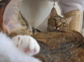 IMG01025.jpg