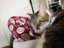 IMG01030.jpg