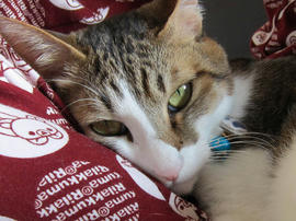 IMG01032.jpg