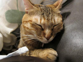 IMG01035.jpg