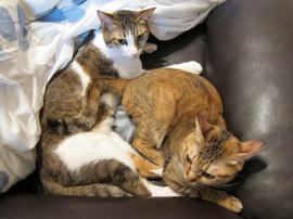 IMG01036.jpg