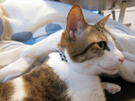 IMG01038.jpg