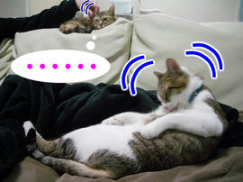 IMGP10304.jpg