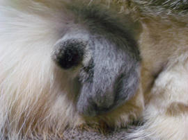 IMGP10308.jpg