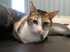 IMG01046.jpg