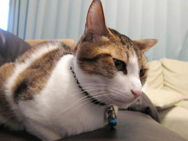 IMG01048.jpg